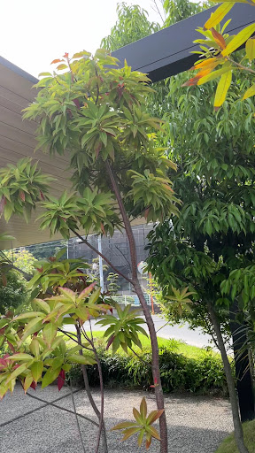 Photo from customer review